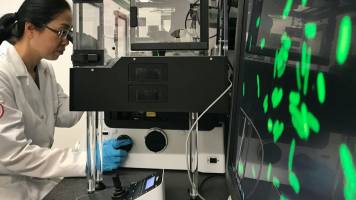 Nanoresearch without animal experiments