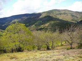 Nature's contributions to people found to be in decline