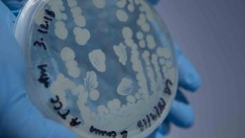 New food poisoning toxin