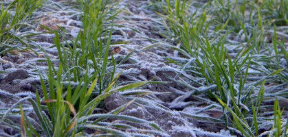 Patented 'molecular heaters' to increase crop yield