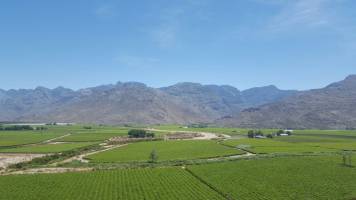 Pesticide Exposure Associated with Headaches in Children