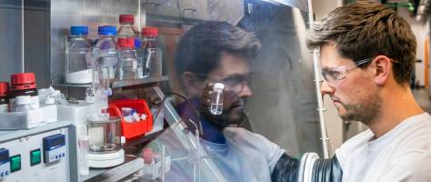 Precious metal-free silicone curing