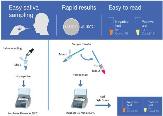 Schematic representation of the EasyCov test   � L&rsquo;Helgouach  et al.