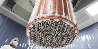 Surprising Signal in the XENON1T Dark Matter Experiment