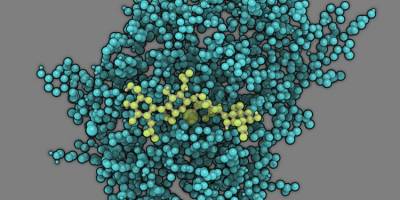 The invisibility cloak of a fungus