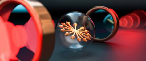 The Return of the Spin Echo