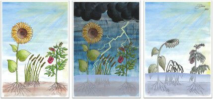 Acid Sensor Discovered in Plants