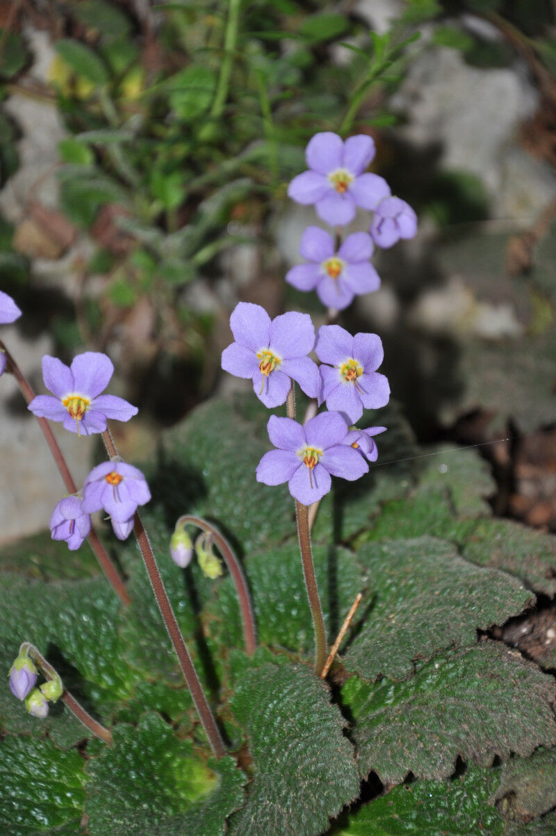 Research at the interface of chemistry, materials science and mechanics [Picture