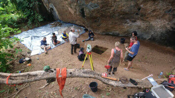 Ancient humans not to blame for mass island extinction