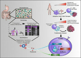 Anti-tumor agent from the intestine
