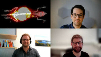 Cell labelling method from microscopy implemented for PET imaging