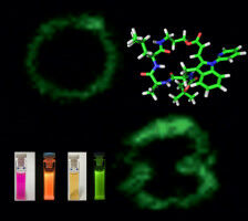 Clever biomolecular labelling enables identification of immune cells
