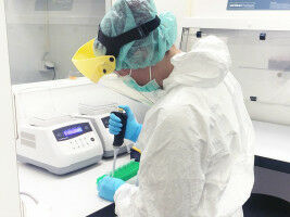 Dairying enabled Bronze Age steppe expansion