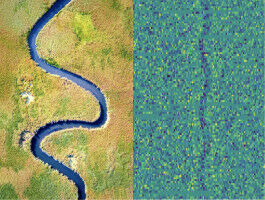 Discovering exoplanets using artificial intelligence