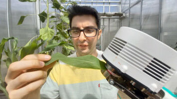 Drought-tolerant crops need skin in the game