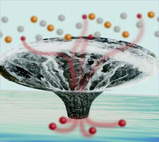 From quantum gravity to strange metals