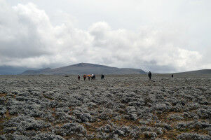 Glaciers and enigmatic stone stripes in the Ethiopian Highlands