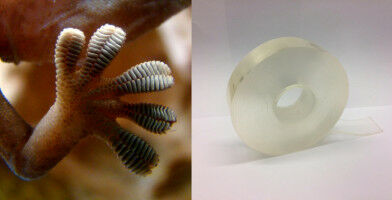 How does Gecko tape work?