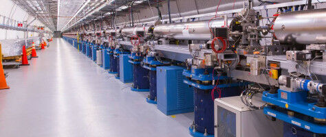 How plants produce defensive toxins without harming themselves