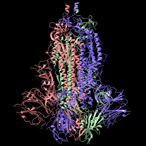 Stock illustration image of the SARS-CoV-2 spike glycoprotein