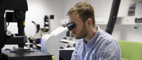 Mechanical stimuli influence organ growth