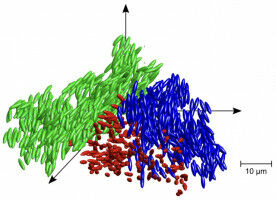 Neither liquid nor solid