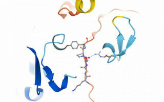 New mechanism preventing toxic DNA lesions opens up therapeutic avenues for Huntington's disease