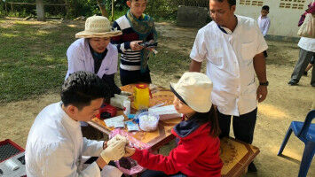 Promising Treatment Alternative Against Parasitic Worm Infection