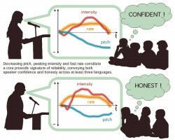 Recognizing liars from the sound of their voice?