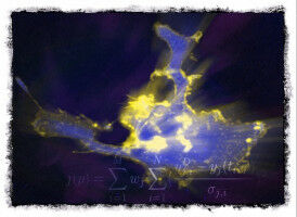 Scientists help solve insulin puzzle