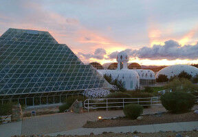 Strategies of the forest during extreme drought