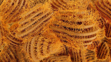 Two-phase material with surprising properties