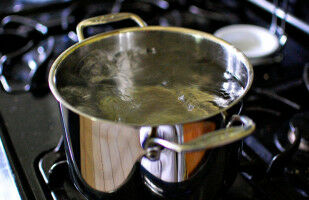 Water and quantum magnets share critical physics