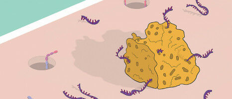 A sponge playing in defence