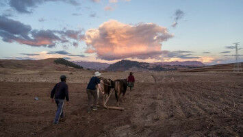 Altitude Positively Impacts Cardiovascular Health Peruvian Study Finds