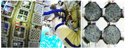 Bacterial cellulose enables microbial life on Mars