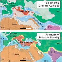 Balkanatolia: the forgotten continent that sheds light on the evolution of mammals