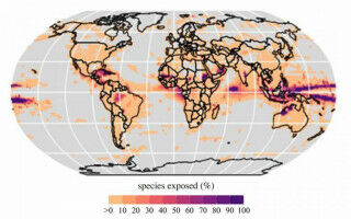 Biodiversity risks to persist well beyond future global temperature peak