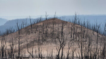 Bushfires disproportionately impact Indigenous Australians