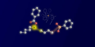 Chemists develop new multi-component reaction