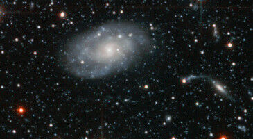 Cosmic web orchestrates the progression of galaxies