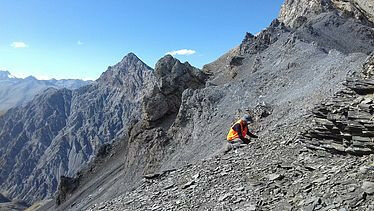 Looking for soil fauna in the Val M�schauns.