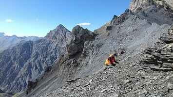 Elevation determines the diversity of soil fauna