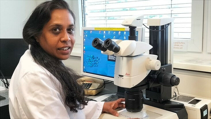 Researchers discover natural compounds against coronavirus