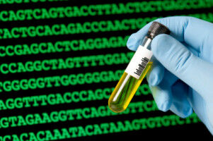 Research team decodes human genome