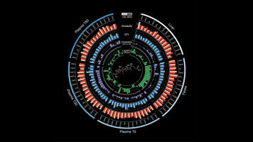 Genetics and diet influence bile acid homeostasis