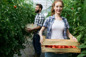 Happy at work, local farmers?
