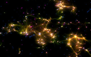 Human brain cells in a dish learn to play Pong