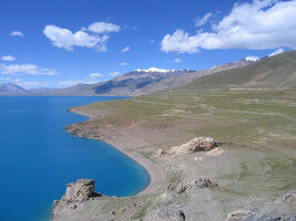 In search of pure quartz