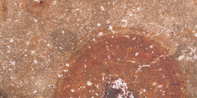 It all comes down to the first electron | ETH Zurich